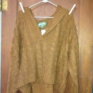 Rust Colored American Eagle Sweater